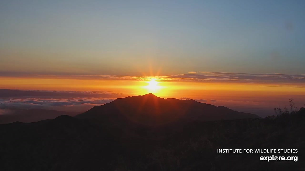 Sunset check Aug 22, 02:31