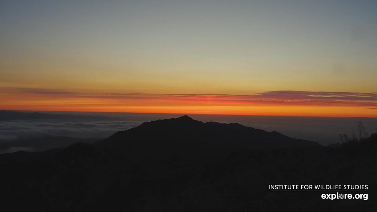 Sunset check Aug 22, 02:55