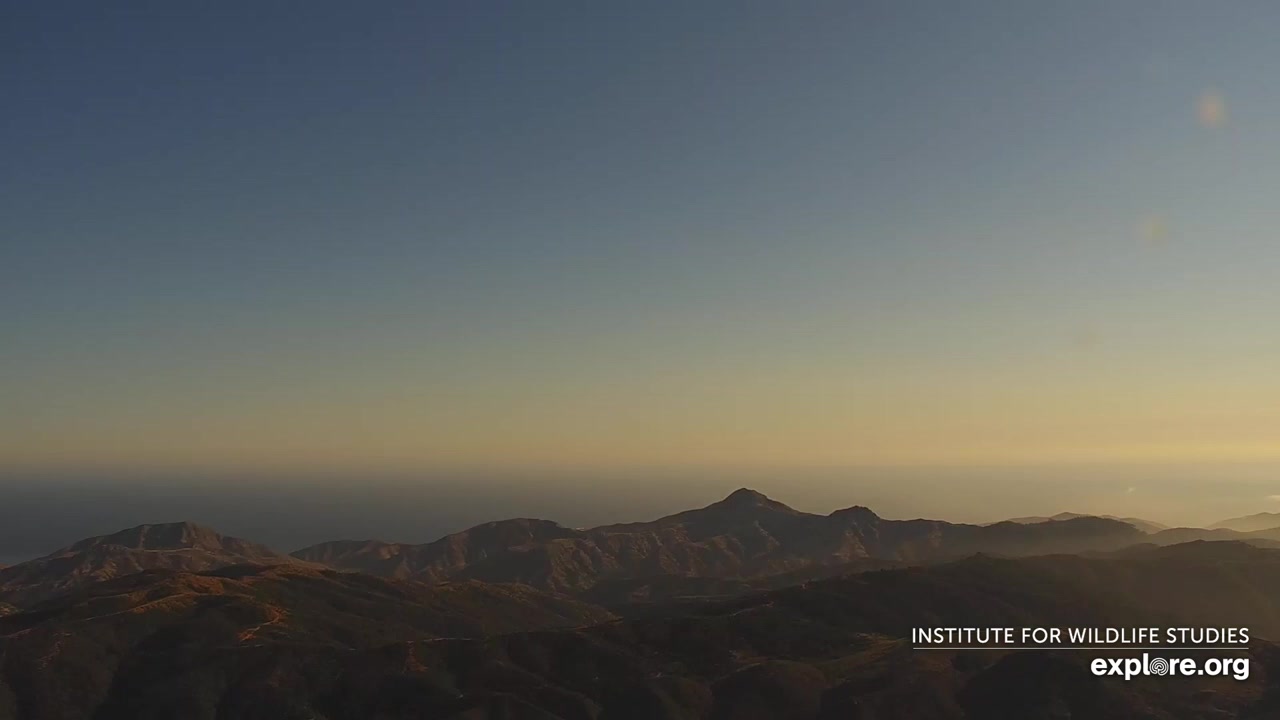 Sunset check Aug 23, 00:40