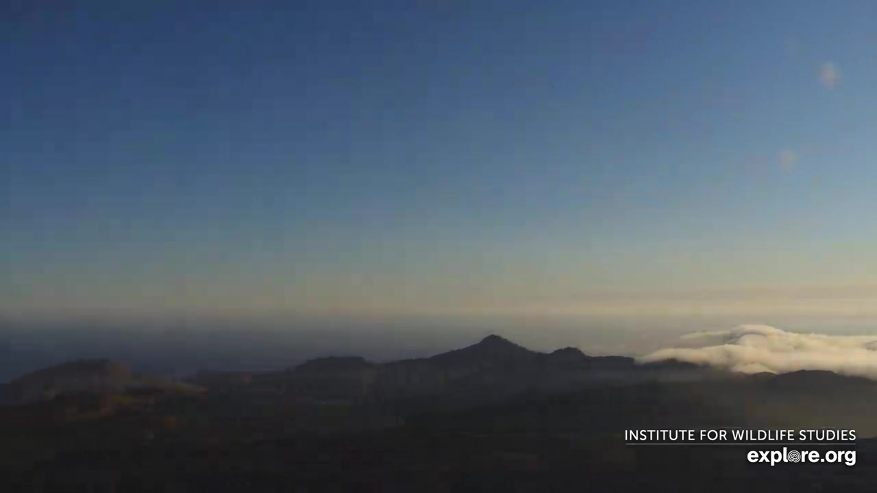 Sunset check Aug 23, 01:23