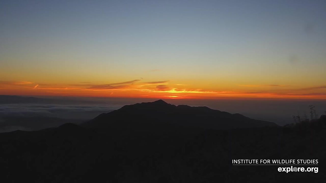 Sunset check Aug 23, 02:47