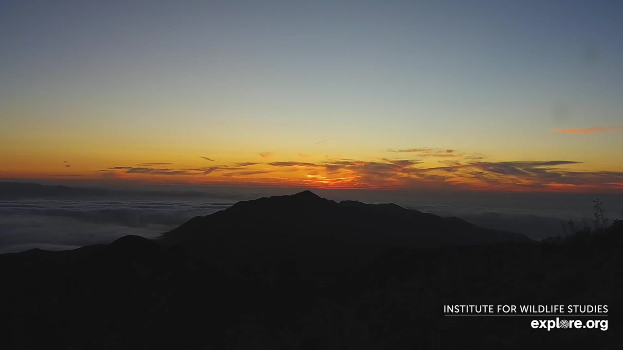 Sunset check Aug 24, 02:49