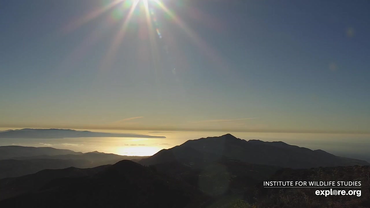 Sunset check Aug 25, 00:37