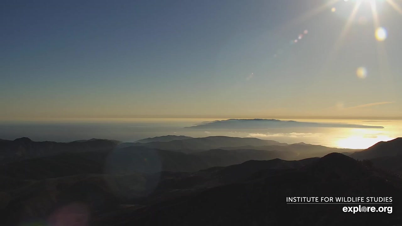 Sunset check Aug 25, 00:58