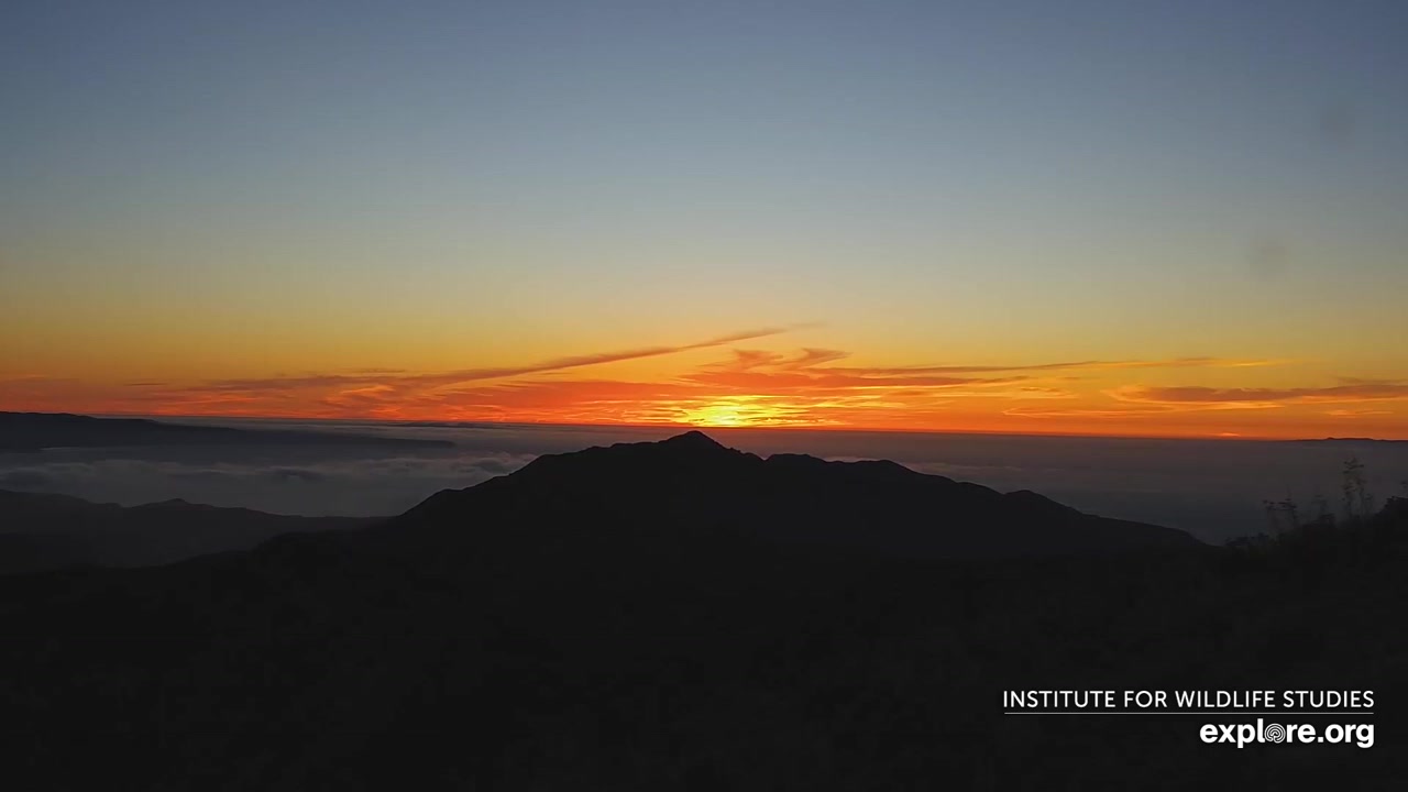 Sunset check Aug 25, 02:43