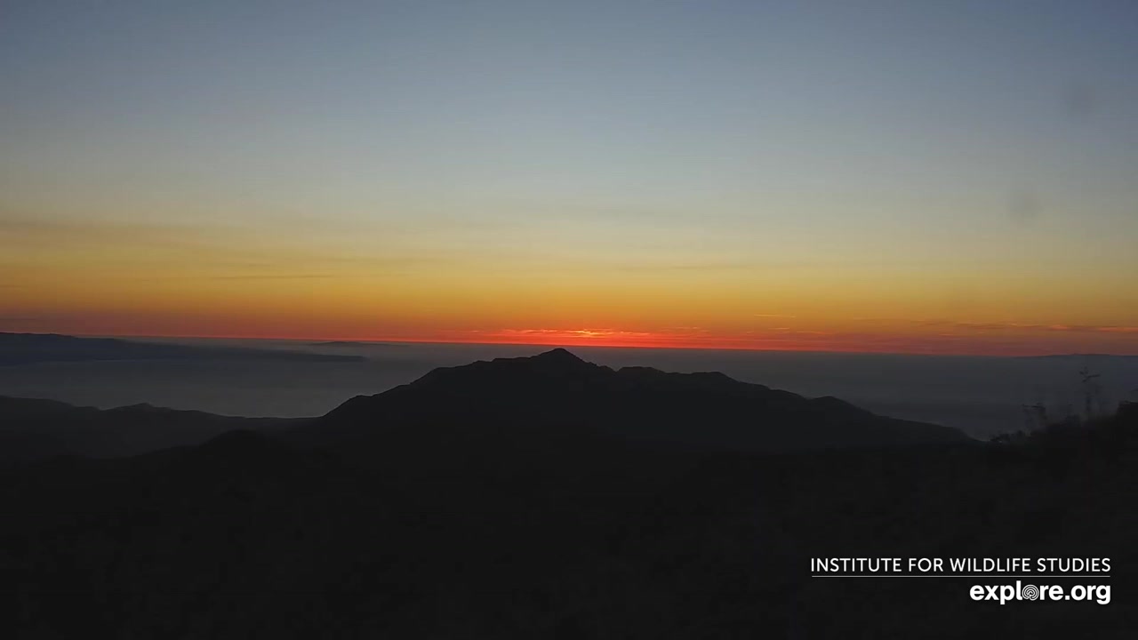 Sunset check Aug 26, 02:44
