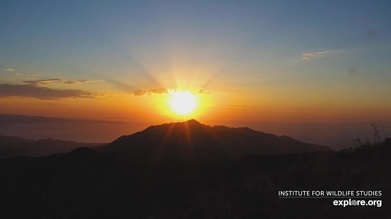 Sunset check Aug 27, 02:23