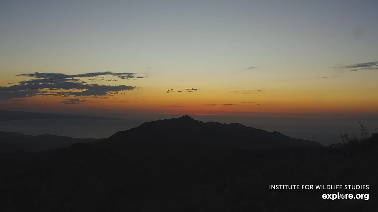Sunset check Aug 27, 02:44