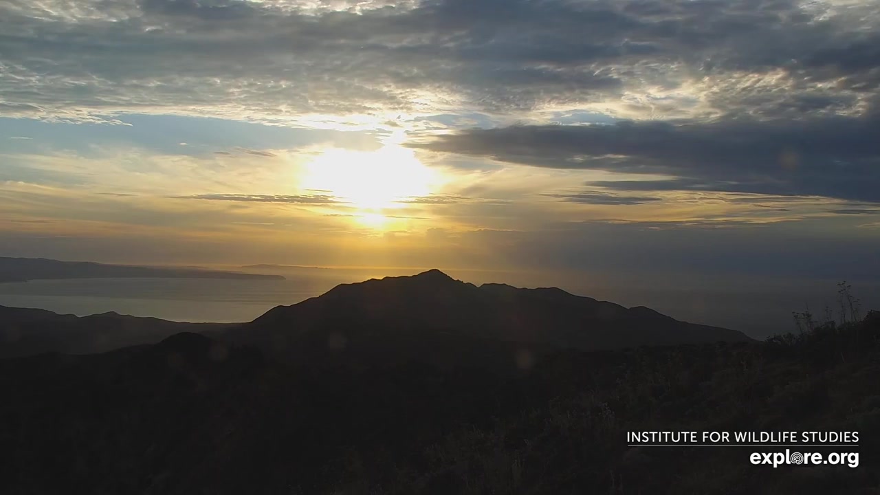 Sunset check Aug 28, 02:03