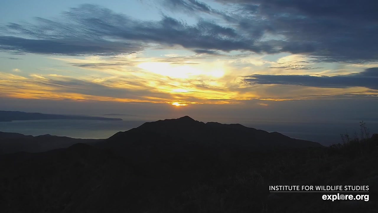 Sunset check Aug 28, 02:25