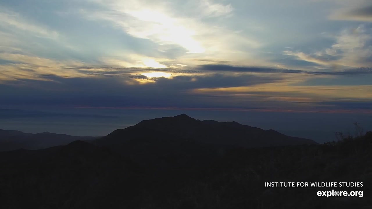 Sunset check Aug 29, 02:04