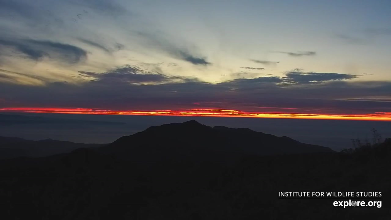 Sunset check Aug 29, 02:48