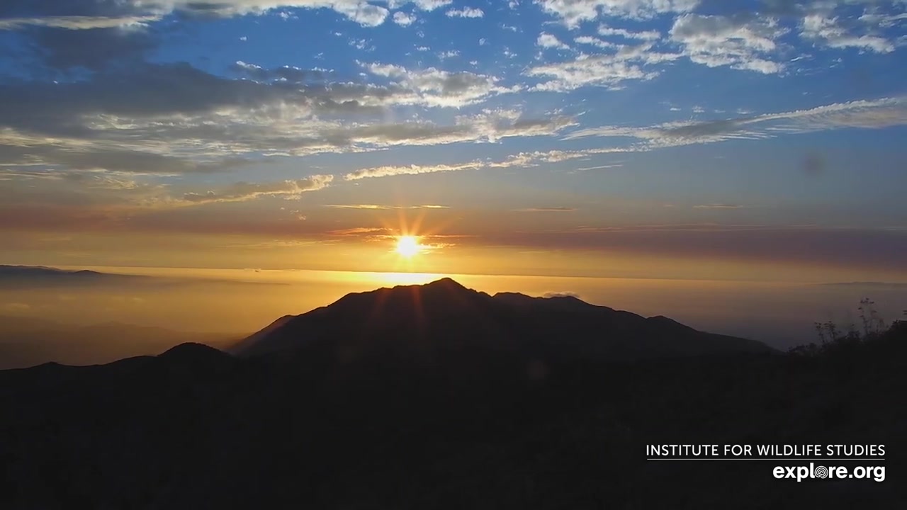 Sunset check Aug 30, 02:20