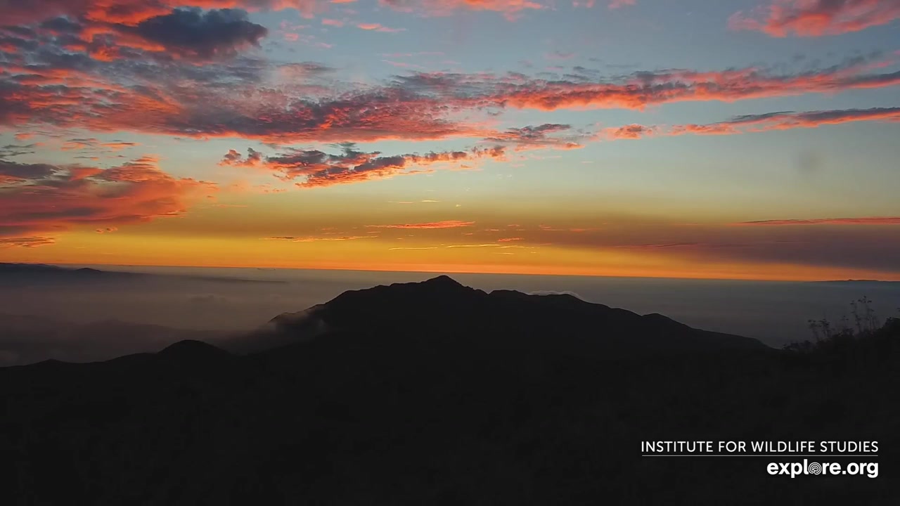 Sunset check Aug 30, 02:41