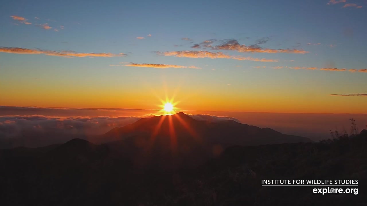 Sunset check Aug 31, 02:27