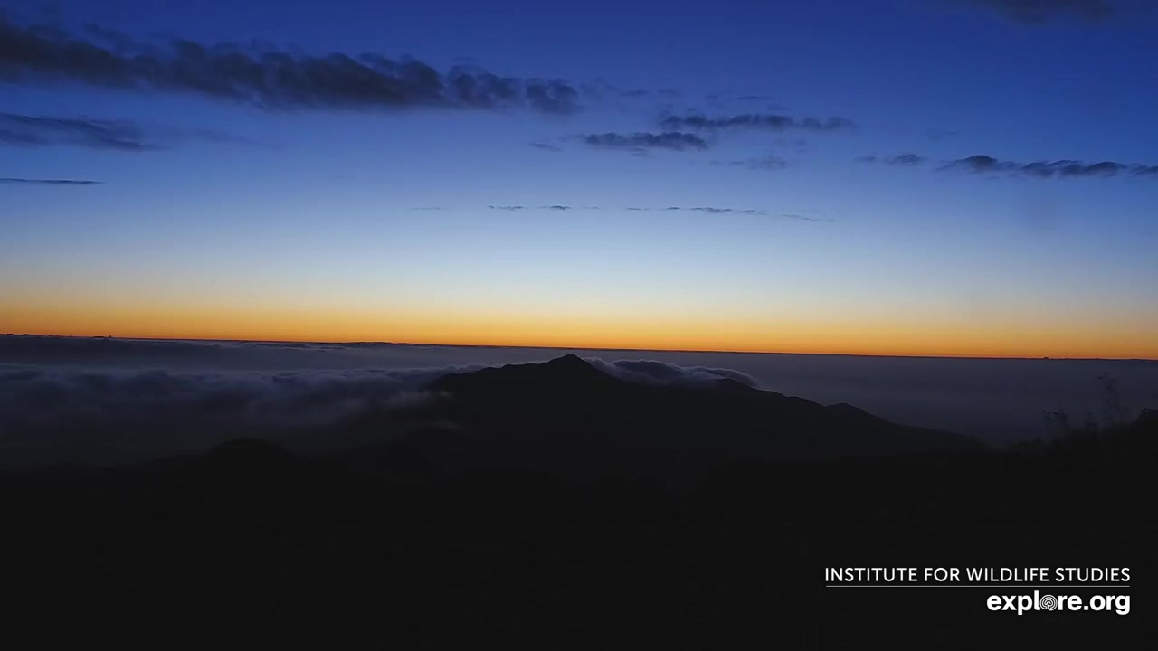 Sunset check Aug 31, 02:50