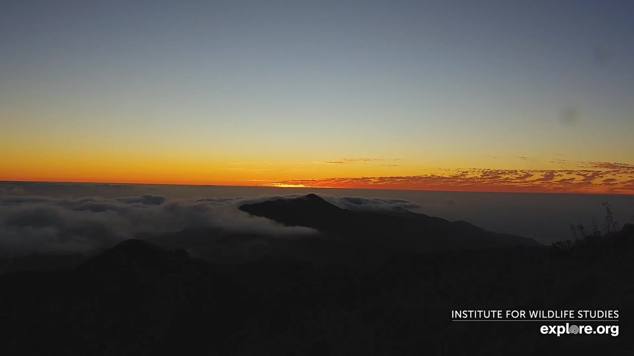 Sunset check Sep 1, 02:37