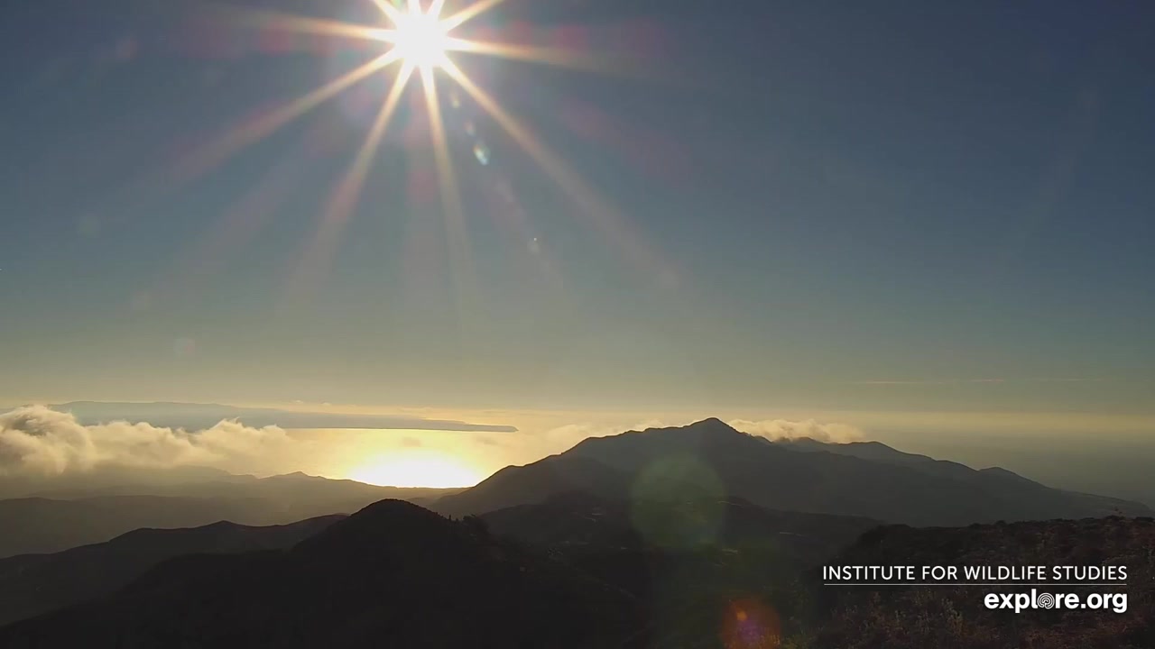 Sunset check Sep 3, 00:46