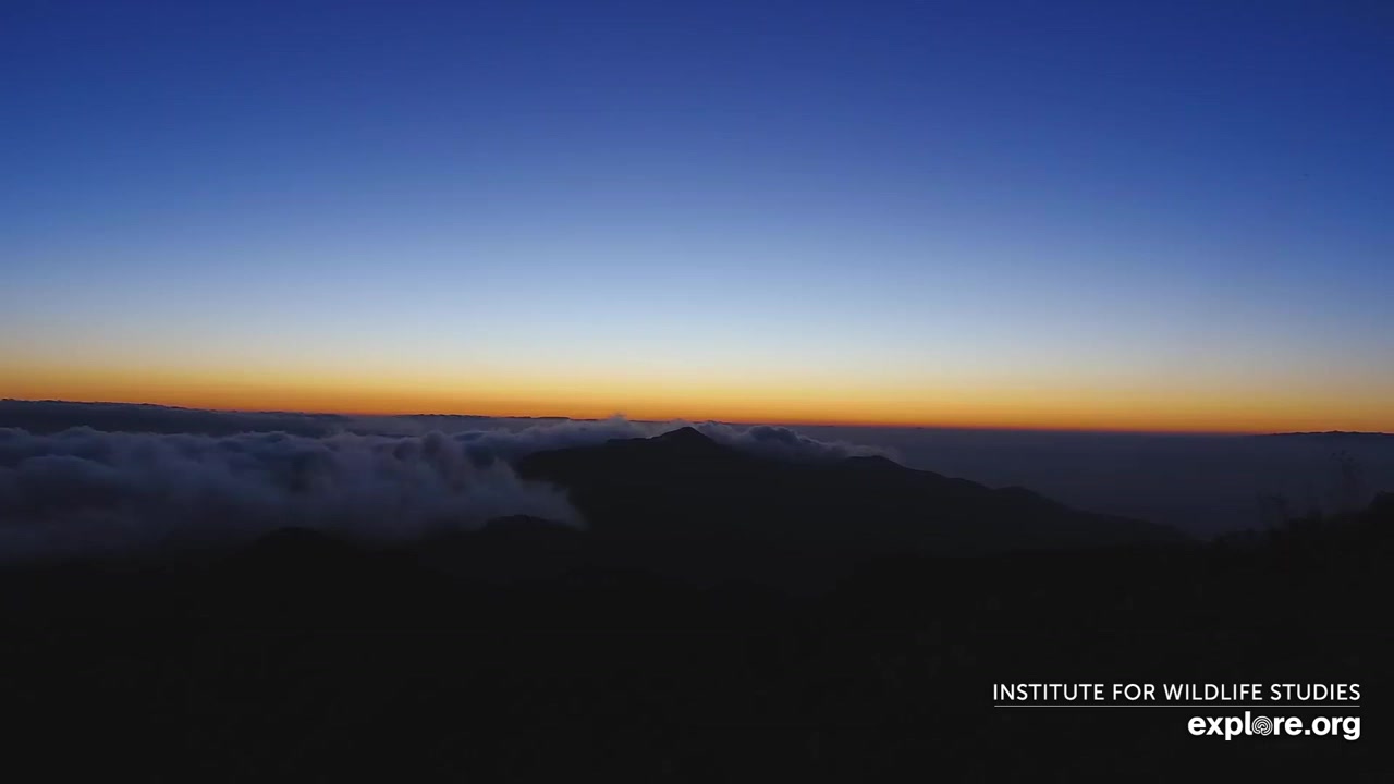 Sunset check Sep 3, 02:45