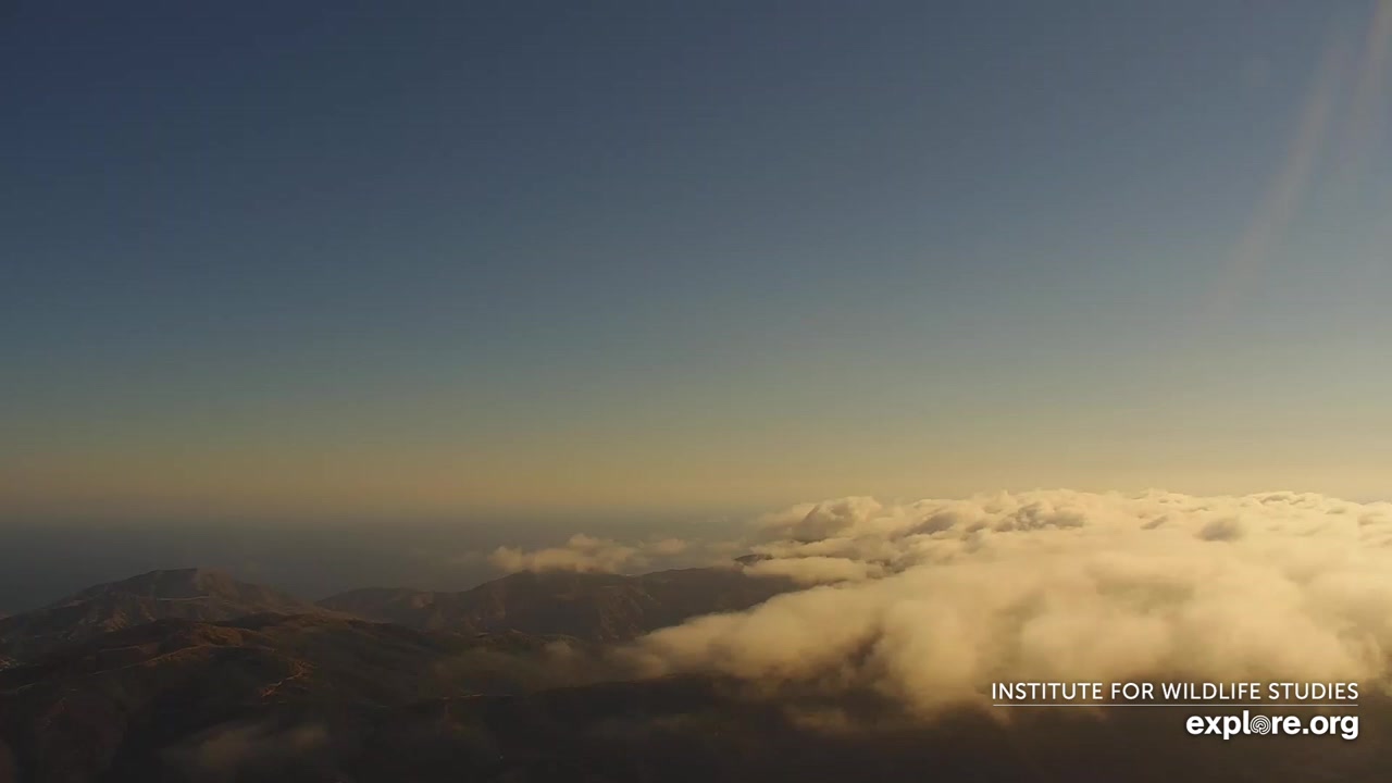 Sunset check Sep 4, 00:24