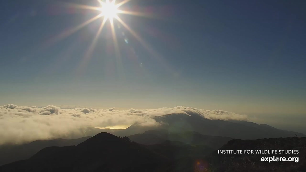 Sunset check Sep 4, 00:45