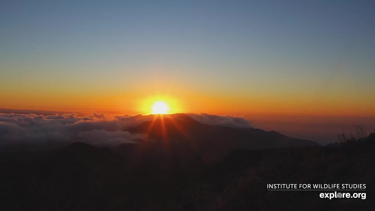 Sunset check Sep 4, 02:20