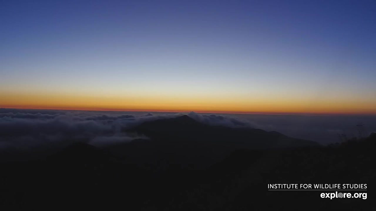 Sunset check Sep 4, 02:43