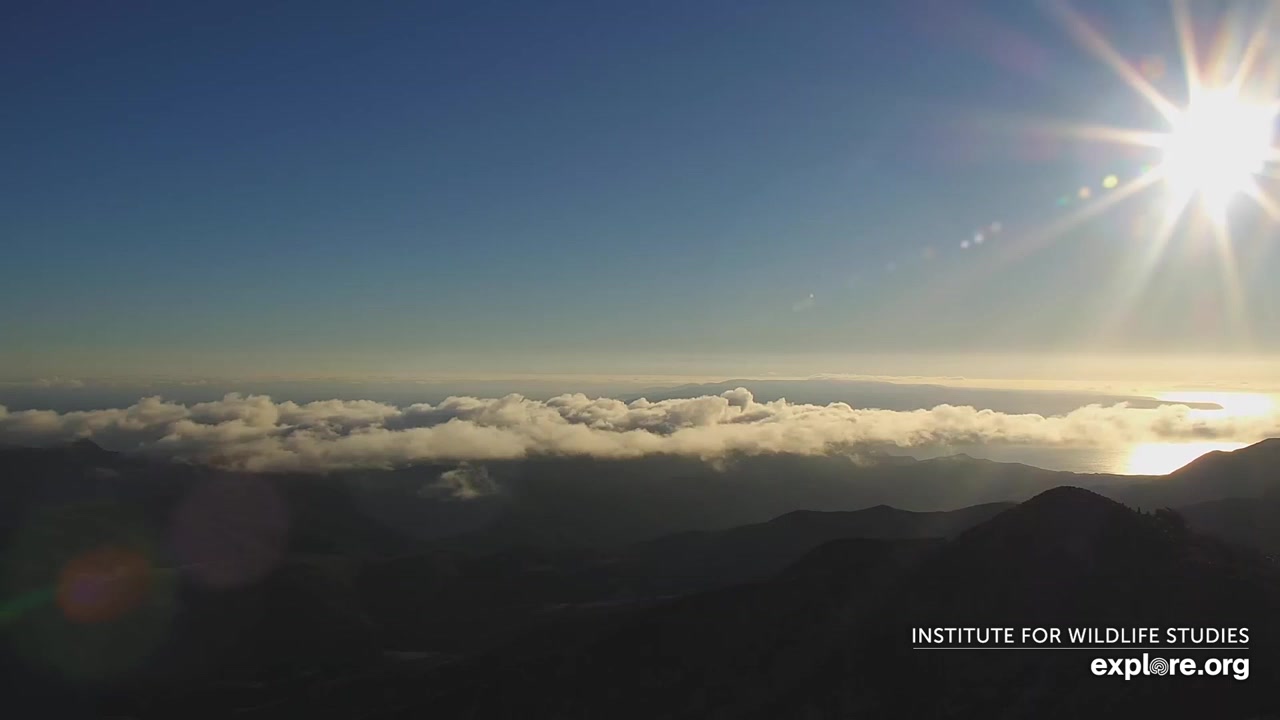 Sunset check Sep 5, 01:28