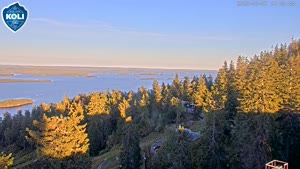 Koli National Park