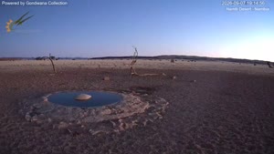 Namib desert