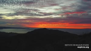 Sunset check Sep 9, 02:25