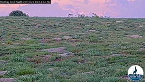 Sunset check Sep 16, 17:57