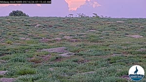 Sunset check Sep 16, 18:18