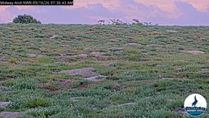 Sunset check Sep 16, 18:39