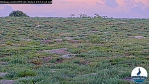 Sunset check Sep 16, 19:00