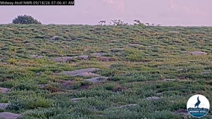 Sunset check Sep 18, 18:09