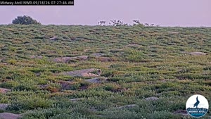 Sunset check Sep 18, 18:30