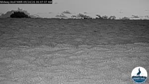 Sunset check Sep 24, 17:09