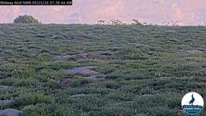 Sunset check Sep 26, 17:44