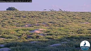 Sunset check Oct 2, 18:34