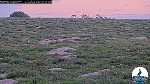 Sunset #3 — Oct 3, 2026