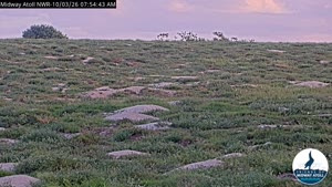 Sunset check Oct 3, 18:57