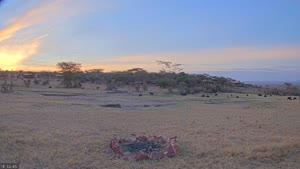 Sunset check Oct 4, 15:33