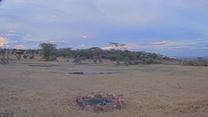 Sunset check Oct 7, 15:22