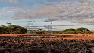 Amboseli National Park