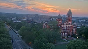 Sunset check May 20, 00:39