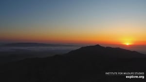 Sunset in Santa Cruz island, USA