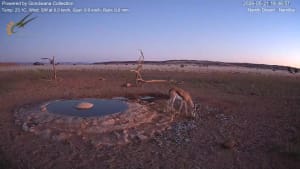 Live sunset camera in Namib desert, South Africa