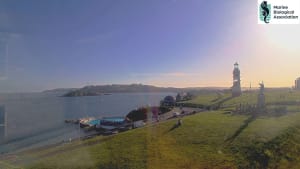Live sunset camera in Plymouth, United Kingdom