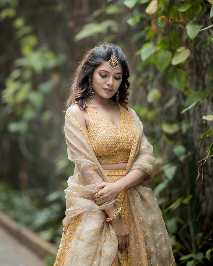 A model in a traditional Indian saree.